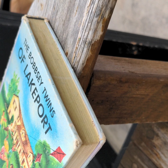 The Bobbsey Twins of Lakeport - Picture 8 of 8